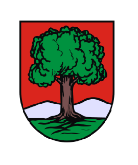 Wałbrzych - logo
