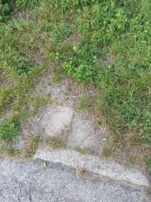 Zdjęcie 1 przedstawia problem zgłoszony w tym alercie