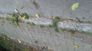 Zdjęcie 1 przedstawia problem zgłoszony w tym alercie