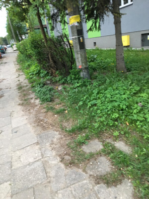 Zdjęcie 1 przedstawia problem zgłoszony w tym alercie
