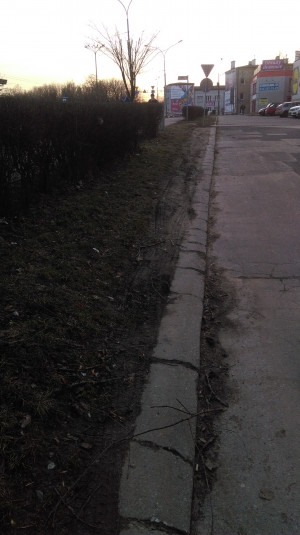Zdjęcie 1 przedstawia problem zgłoszony w tym alercie