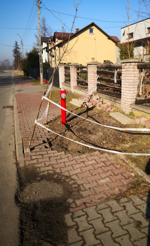 Zdjęcie 1 przedstawia problem zgłoszony w tym alercie