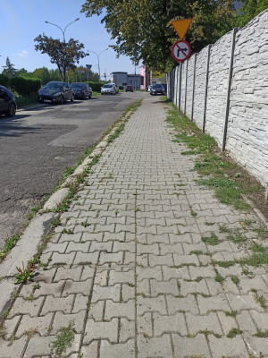 Zdjęcie 1 przedstawia problem zgłoszony w tym alercie