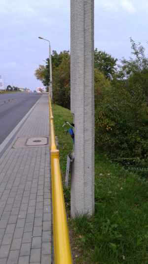 Zdjęcie 1 przedstawia problem zgłoszony w tym alercie