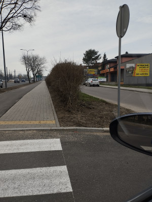 Zdjęcie 1 przedstawia problem zgłoszony w tym alercie