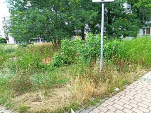 Zdjęcie 1 przedstawia problem zgłoszony w tym alercie