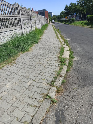 Zdjęcie 2 przedstawia problem zgłoszony w tym alercie