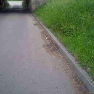 Zdjęcie 4 przedstawia problem zgłoszony w tym alercie