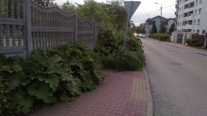 Zdjęcie 2 przedstawia problem zgłoszony w tym alercie