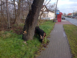 Zdjęcie 1 przedstawia problem zgłoszony w tym alercie