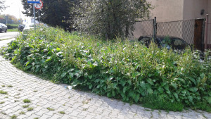 Zdjęcie 1 przedstawia problem zgłoszony w tym alercie