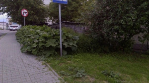 Zdjęcie 3 przedstawia problem zgłoszony w tym alercie