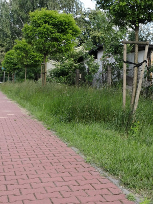 Zdjęcie 2 przedstawia problem zgłoszony w tym alercie