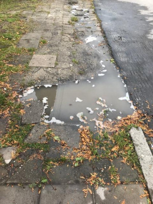 Zdjęcie 1 przedstawia problem zgłoszony w tym alercie