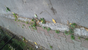 Zdjęcie 2 przedstawia problem zgłoszony w tym alercie