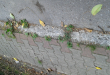 Zdjęcie 1 przedstawia problem zgłoszony w tym alercie