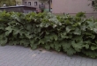Zdjęcie 1 przedstawia problem zgłoszony w tym alercie