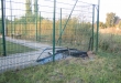 Zdjęcie 1 przedstawia problem zgłoszony w tym alercie