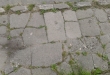 Zdjęcie 2 przedstawia problem zgłoszony w tym alercie