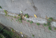 Zdjęcie 2 przedstawia problem zgłoszony w tym alercie